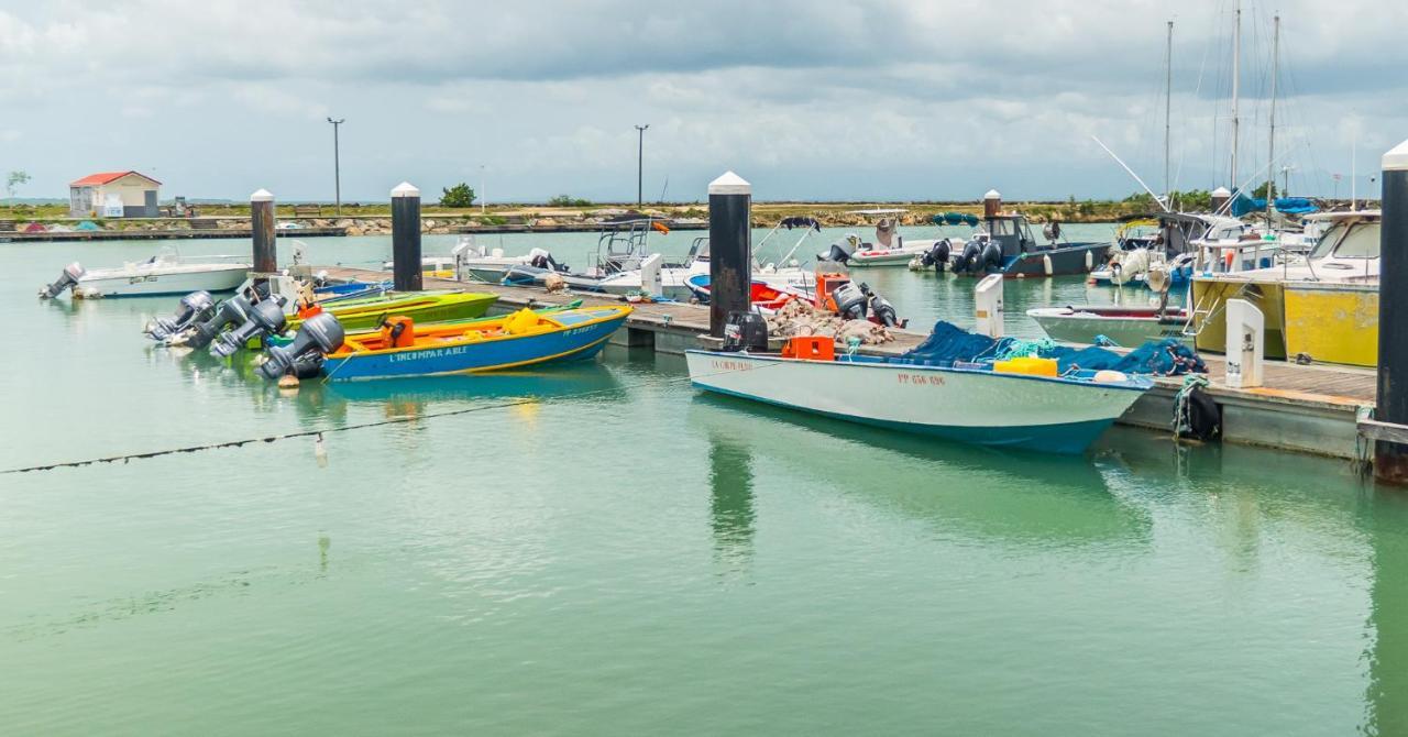 Evasion En Plein Coeur De La Ville T2 Jacuzzis Sauna Et Piscine Au Centre De Port Louis Bagian luar foto
