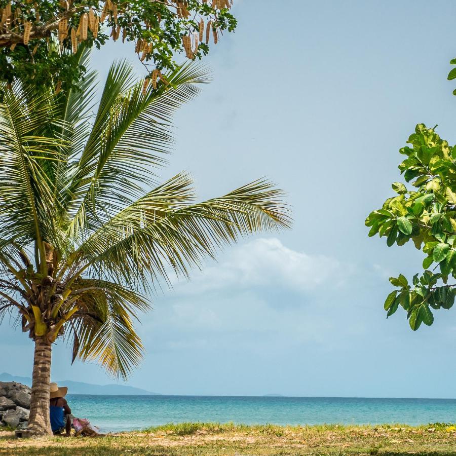 Evasion En Plein Coeur De La Ville T2 Jacuzzis Sauna Et Piscine Au Centre De Port Louis Bagian luar foto